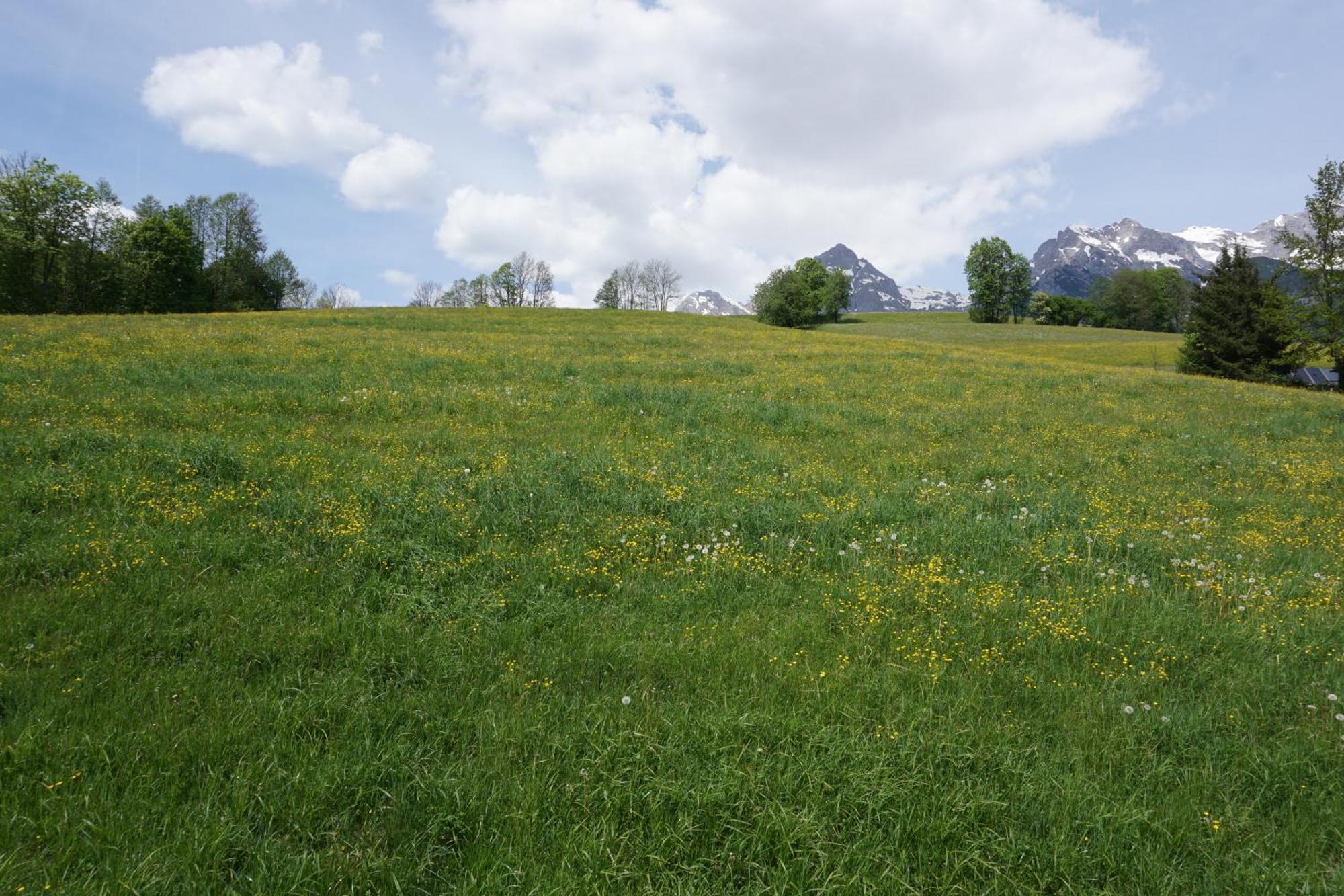 Pension & Appartements Anny Maria Alm am Steinernen Meer Exterior photo