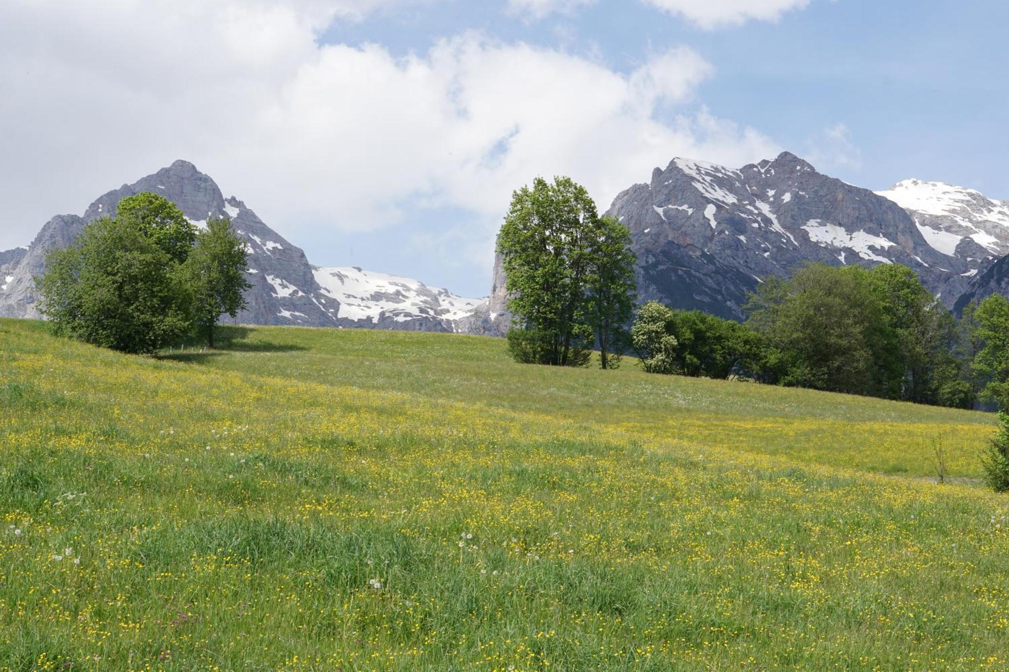 Pension & Appartements Anny Maria Alm am Steinernen Meer Exterior photo